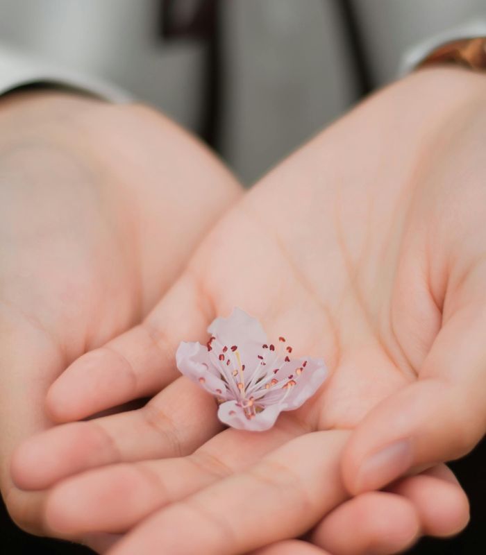 Personne tenant une fleur, illustrant la page « Tarif méthode Tomatis » pour les accompagnements proposés.